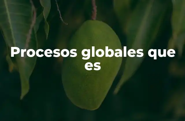 Procesos Globales que es
