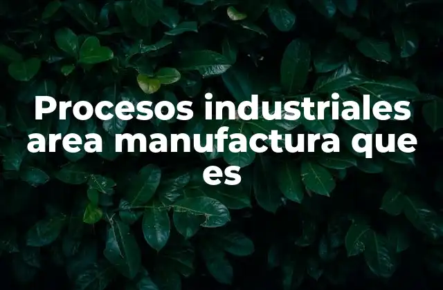 Cómo funcionan los procesos industriales en la manufactura
