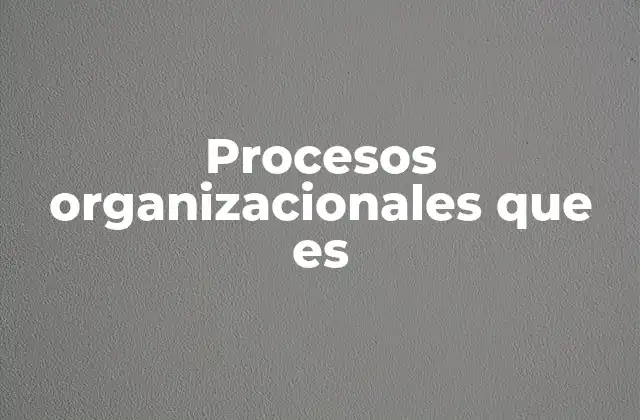 Procesos Organizacionales que es