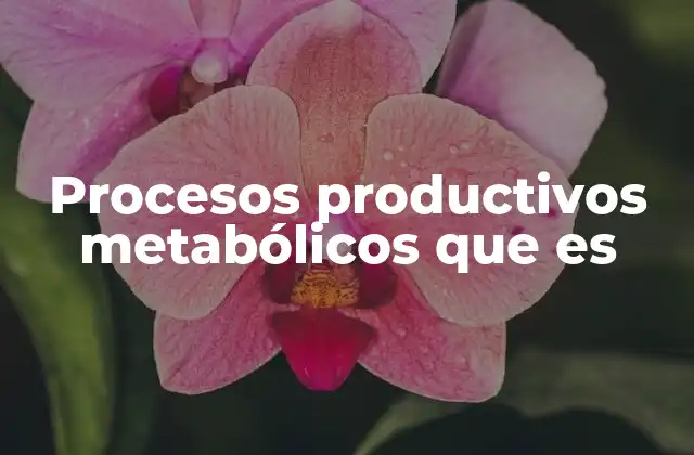 Procesos Productivos Metabólicos que es