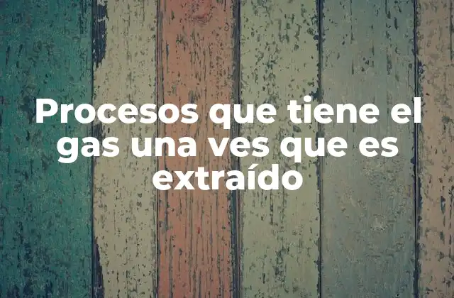 Procesos que Tiene el Gas una Ves que es Extraído