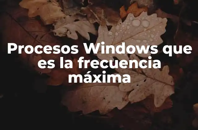 Procesos Windows que es la Frecuencia Máxima
