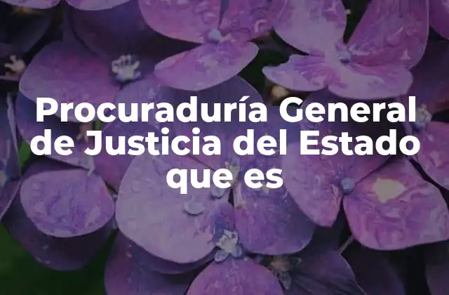 Procuraduría General de Justicia Del Estado que es