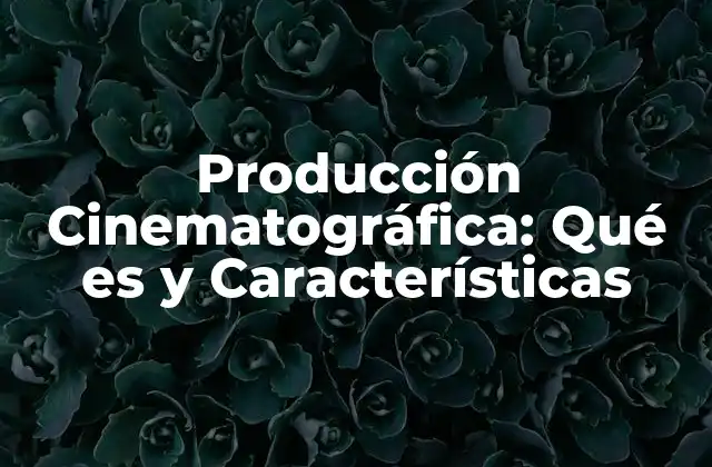 Producción Cinematográfica: Qué es y Características