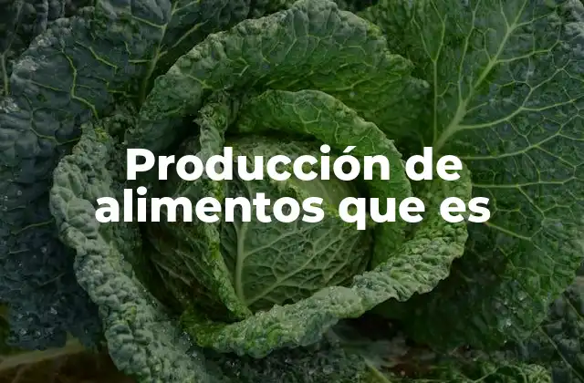 Producción de Alimentos que es