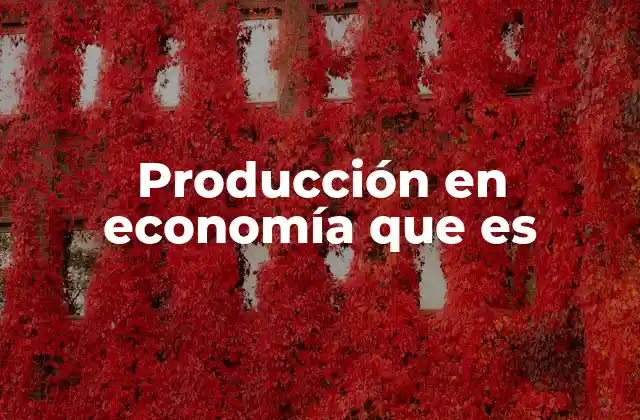 Producción en Economía que es