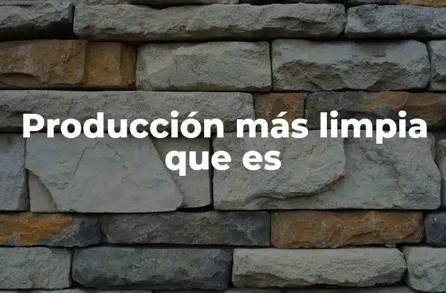 Producción Más Limpia que es