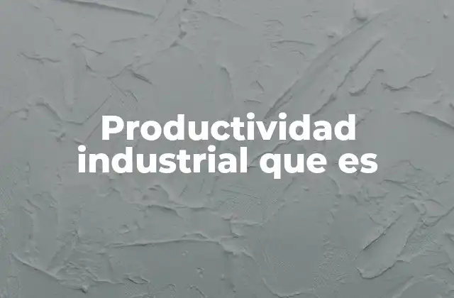 Productividad Industrial que es