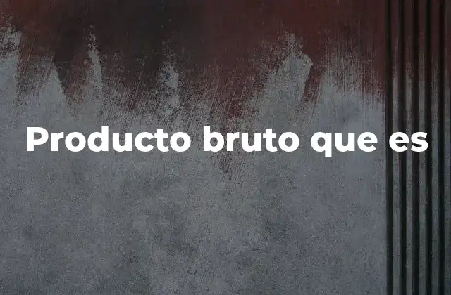 Producto Bruto que es