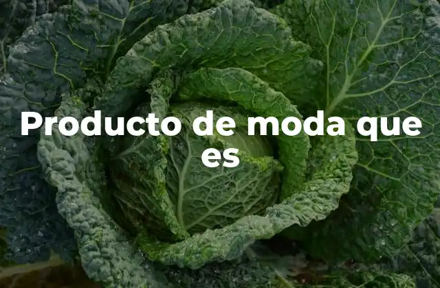 Producto de Moda que es