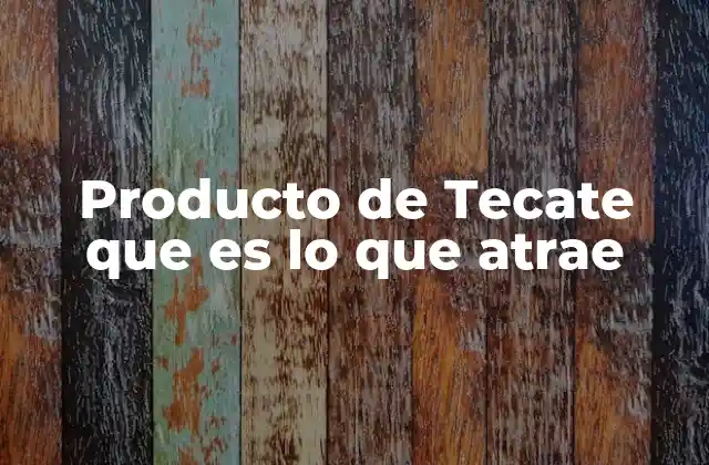 Producto de Tecate que es Lo que Atrae 2 La identidad de Tecate como factor diferenciador