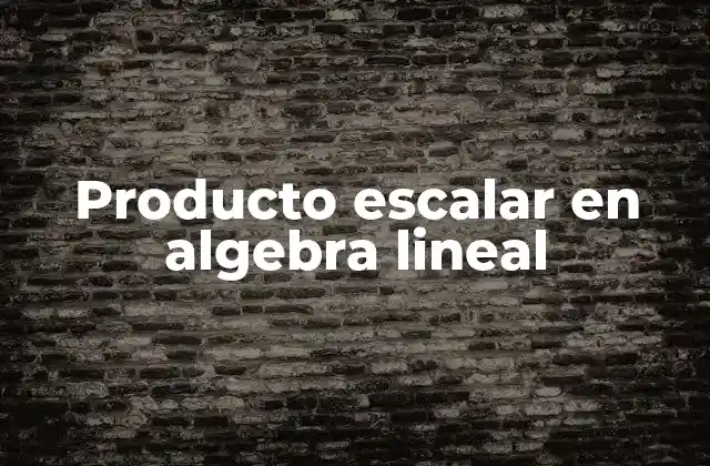 Producto Escalar en Algebra Lineal