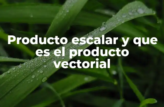 Producto Escalar y que es el Producto Vectorial