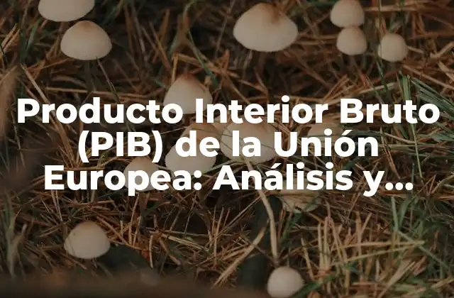 Producto Interior Bruto (pib) de la Unión Europea: Análisis y Evolución