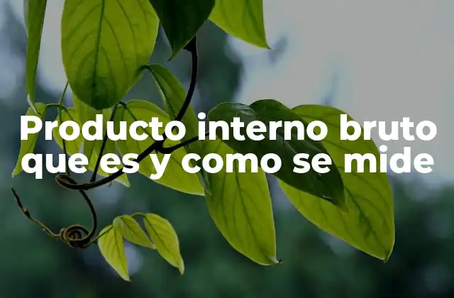 Producto Interno Bruto que es y como Se Mide