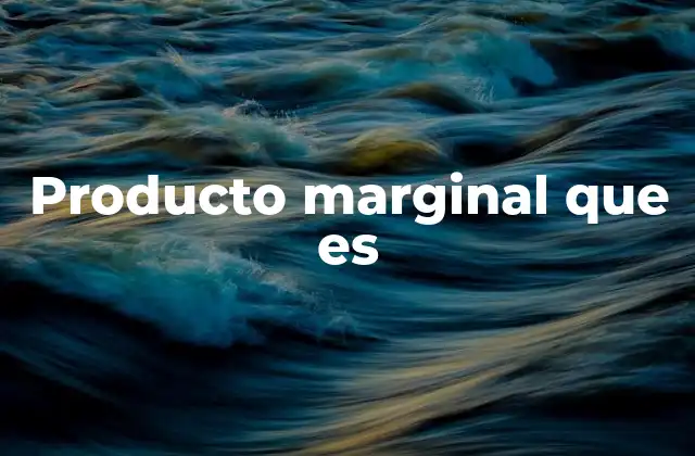 Producto Marginal que es