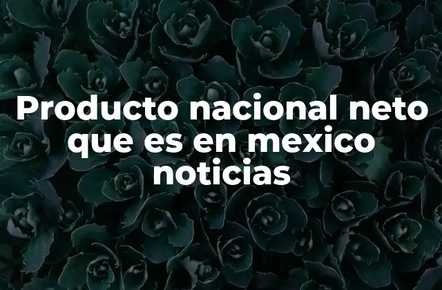 Producto Nacional Neto que es en Mexico Noticias