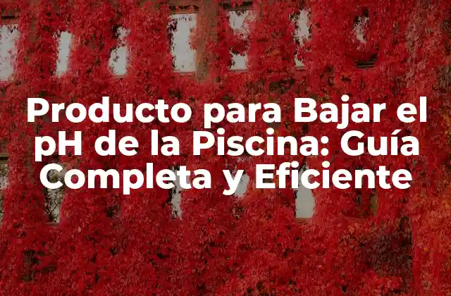 Producto para Bajar el Ph de la Piscina: Guía Completa y Eficiente
