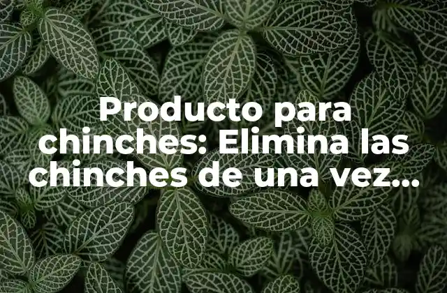 Producto para Chinches: Elimina las Chinches de una Vez por Todas