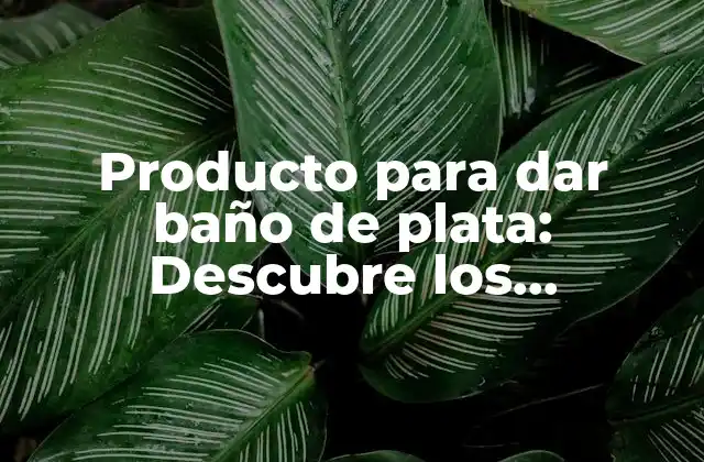 Producto para Dar Baño de Plata: Descubre los Beneficios y Características