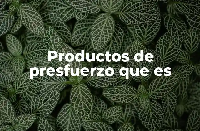 Productos de Presfuerzo que es