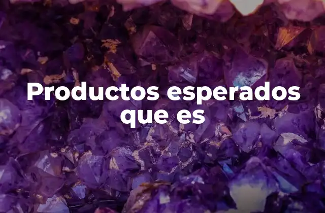 Productos Esperados que es