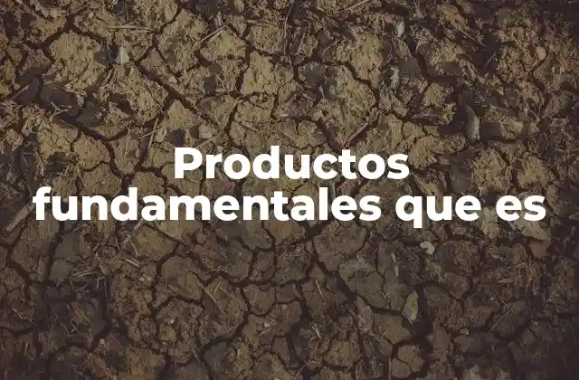 Productos Fundamentales que es