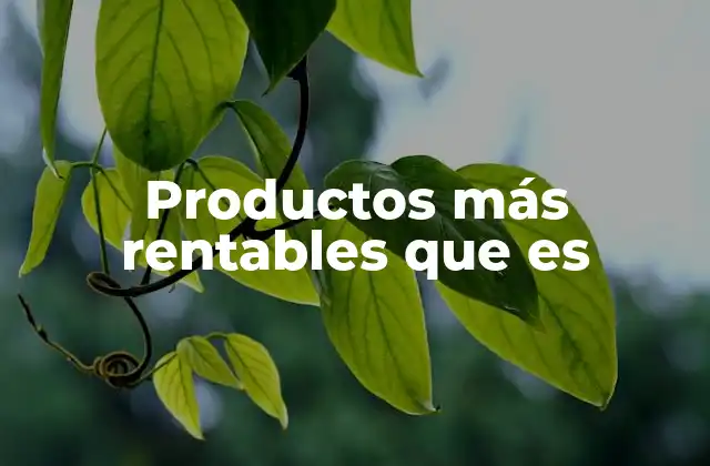 Productos Más Rentables que es 2 Factores que influyen en la rentabilidad de un producto