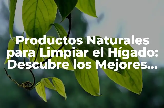 Productos Naturales para Limpiar el Hígado: Descubre los Mejores Alternativas