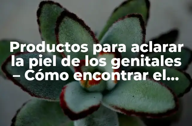 Productos para Aclarar la Piel de los Genitales – Cómo Encontrar el Adecuado para Ti