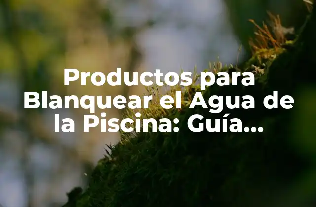 Productos para Blanquear el Agua de la Piscina: Guía Completa