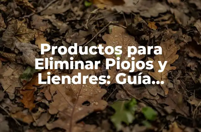 Productos para Eliminar Piojos y Liendres: Guía Completa