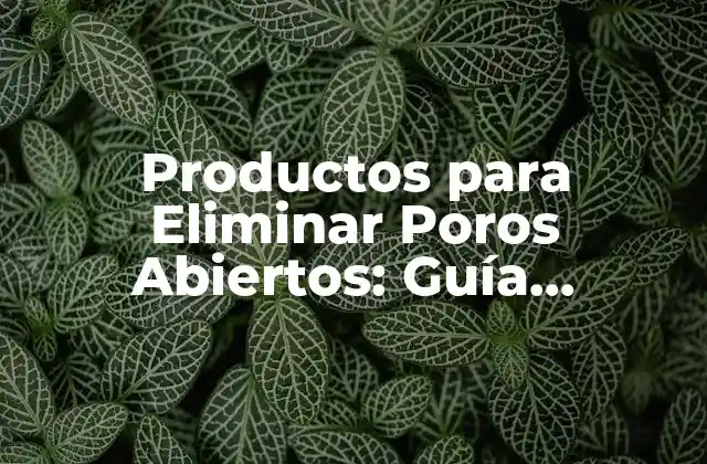 Productos para Eliminar Poros Abiertos: Guía Completa y Detallada