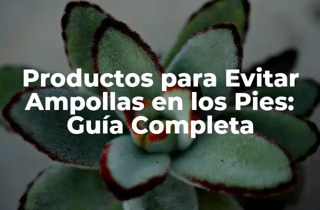 Productos para Evitar Ampollas en los Pies: Guía Completa 2 ¿Qué son las Ampollas en los Pies y Cómo se Forman?