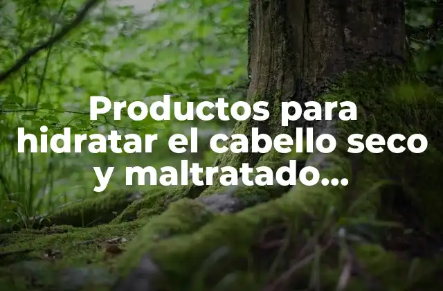 ¿Cuáles son las características clave de los productos para hidratar el cabello seco y maltratado?