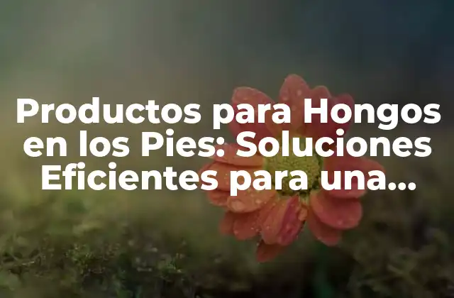 Productos para Hongos en los Pies: Soluciones Eficientes para una Problema Común