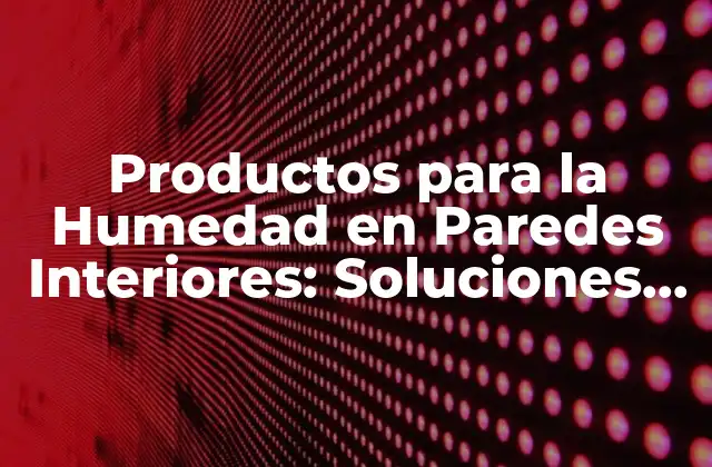 Productos para la Humedad en Paredes Interiores: Soluciones Efectivas
