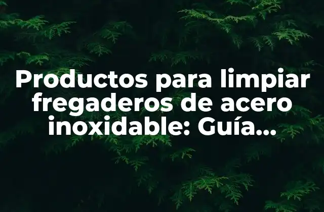 Productos para Limpiar Fregaderos de Acero Inoxidable: Guía Definitiva para Mantener Su Brillo