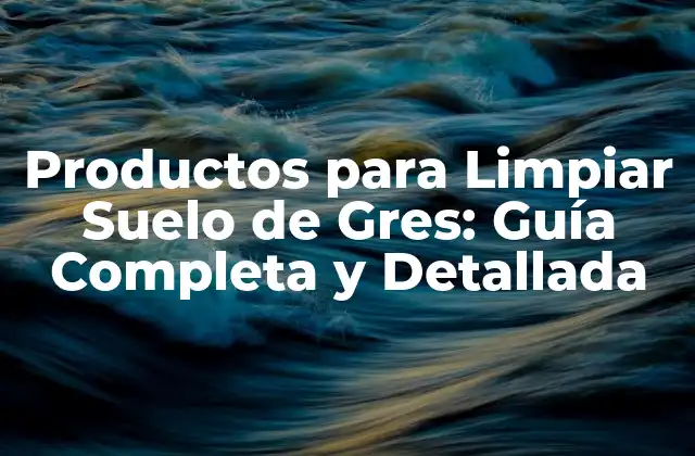 Productos para Limpiar Suelo de Gres: Guía Completa y Detallada
