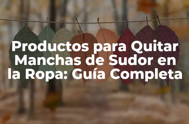 Productos para Quitar Manchas de Sudor en la Ropa: Guía Completa
