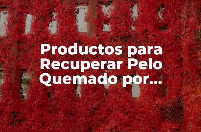 Productos para Recuperar Pelo Quemado por Decoloración: Soluciones Efectivas