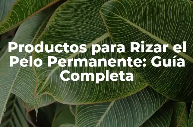 Productos para Rizar el Pelo Permanente: Guía Completa
