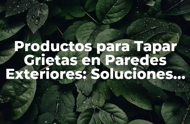Productos para Tapar Grietas en Paredes Exteriores: Soluciones Eficientes