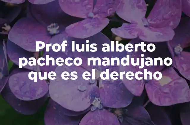 Prof Luis Alberto Pacheco Mandujano que es el Derecho