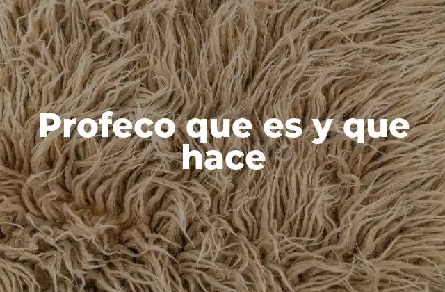 Profeco que es y que Hace