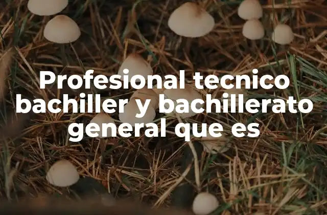 Profesional Tecnico Bachiller y Bachillerato General que es 2 Diferencias entre el bachillerato general y el técnico