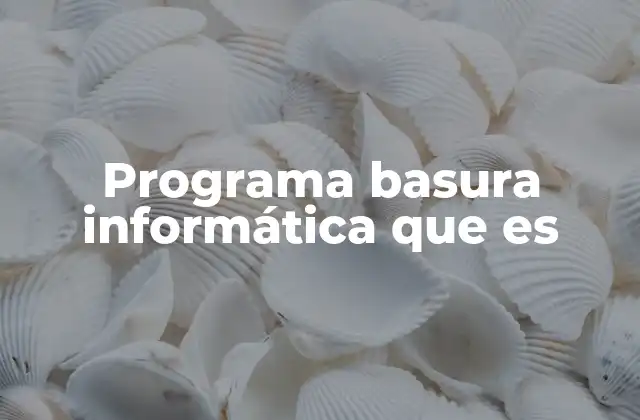 Programa Basura Informática que es