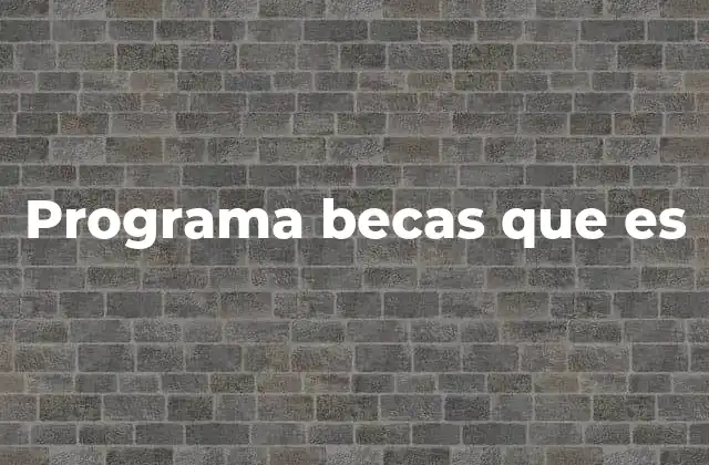 Programa Becas que es