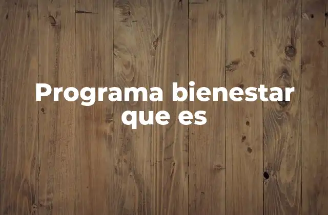 Programa Bienestar que es 2 Cómo funciona el Programa Bienestar