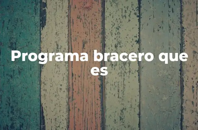 Programa Bracero que es